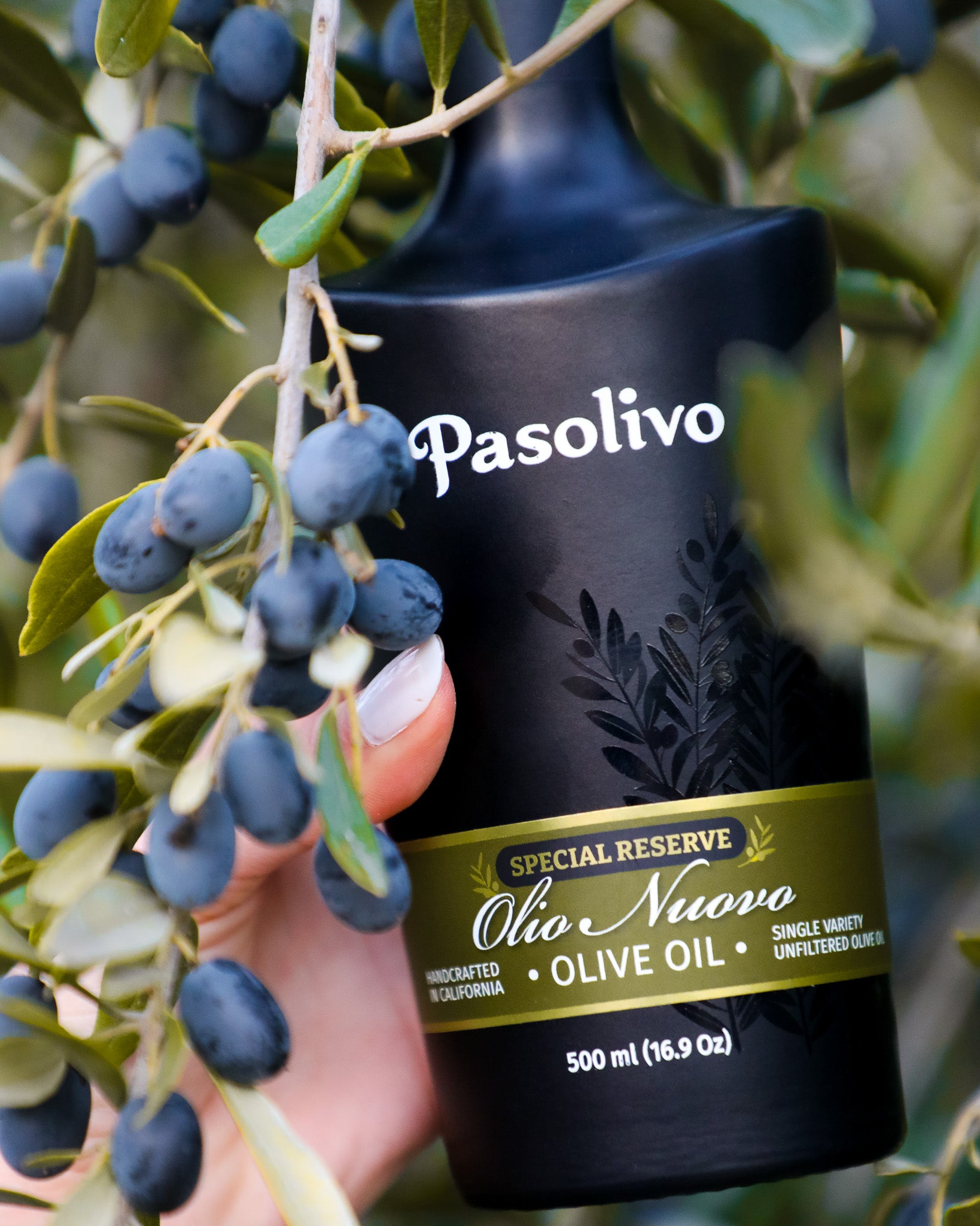 Olio Nuovo