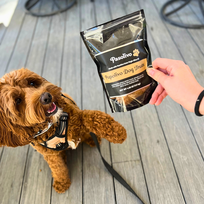 Pupolivo Dog Treats