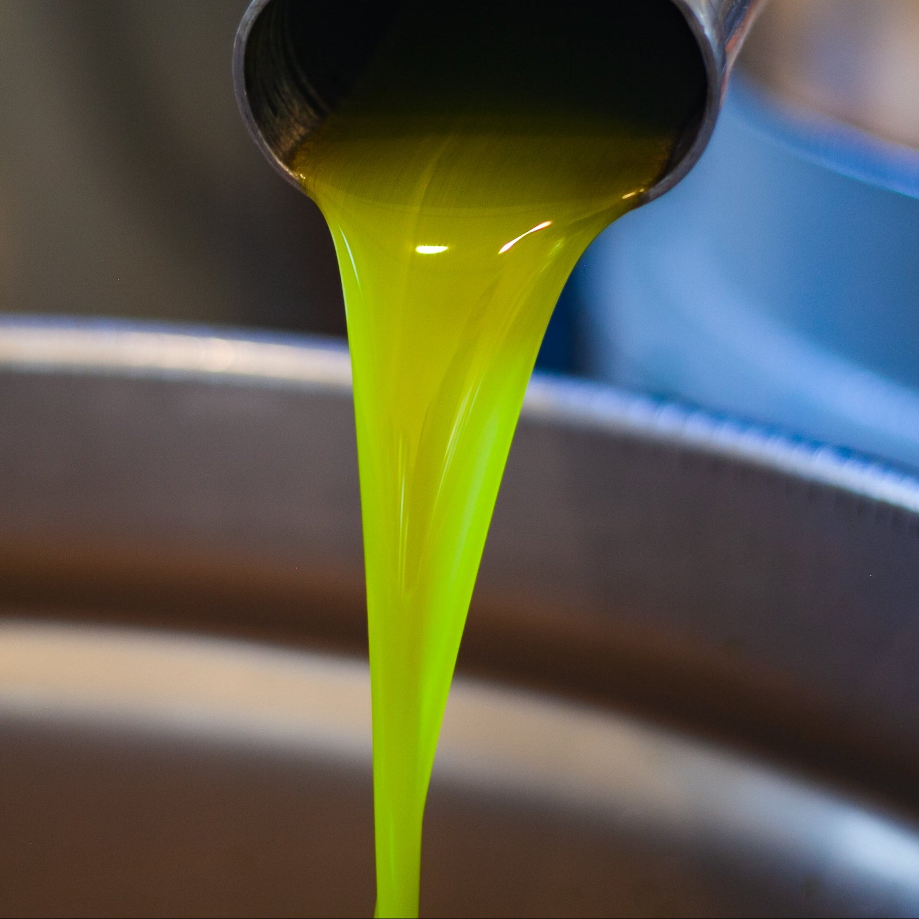 Olio Nuovo