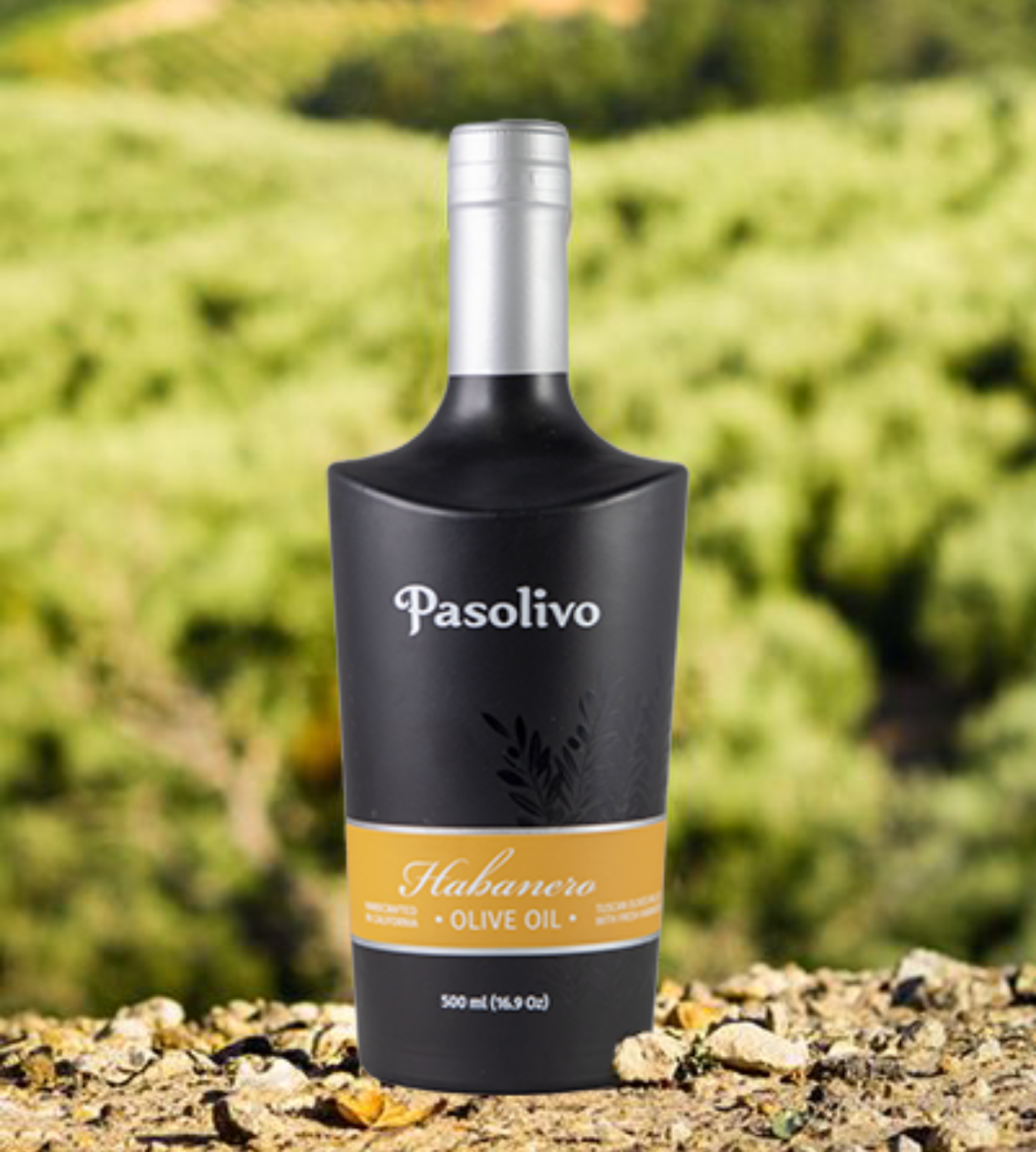 Habanero Olive Oil - 500 mL