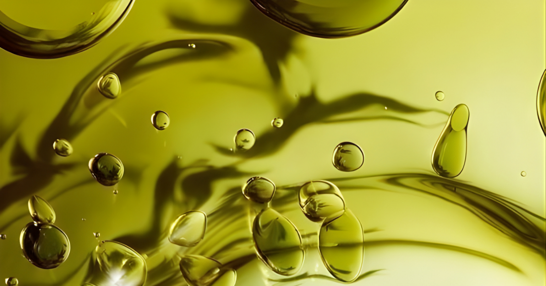 What Are Polyphenols in Olive Oil? Health Benefits & How to Identify High-Polyphenol EVOO